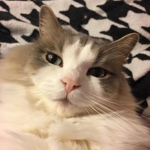 Meet your Posher, Ed